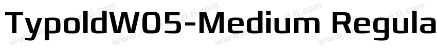 TypoldW05-Medium Regular字体转换